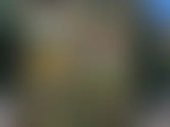 Mosambiekers wat hul land onwettig wil binnegaan is in hegtenis geneem