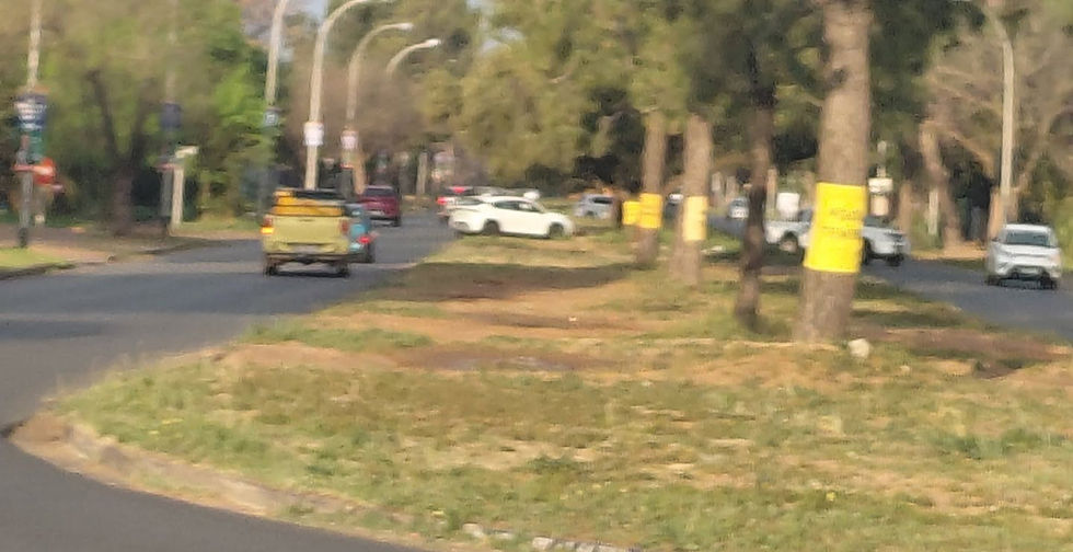 FOTO: Sonet Van Zyl
