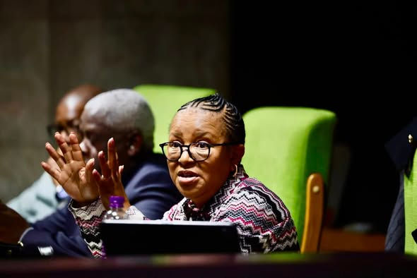 Die Premier eis antwoorde van Mangaung-amptenare