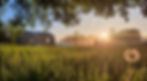 ökologisches Tiny House von bauwagenwerk, bei Sonnenaufgang auf einer Sommerwiese