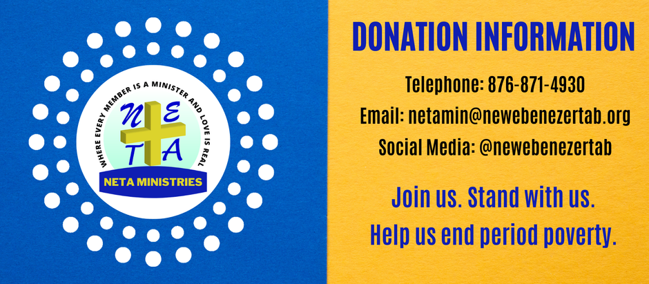 Stand in the Gap: Help Us End Period Poverty