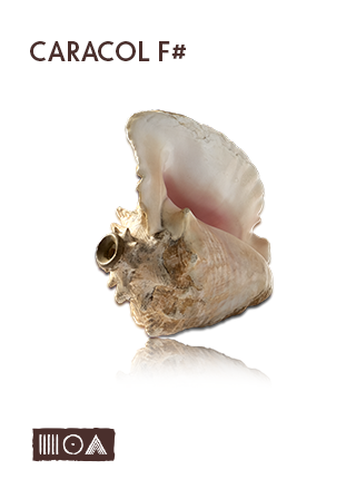 Caracol F#