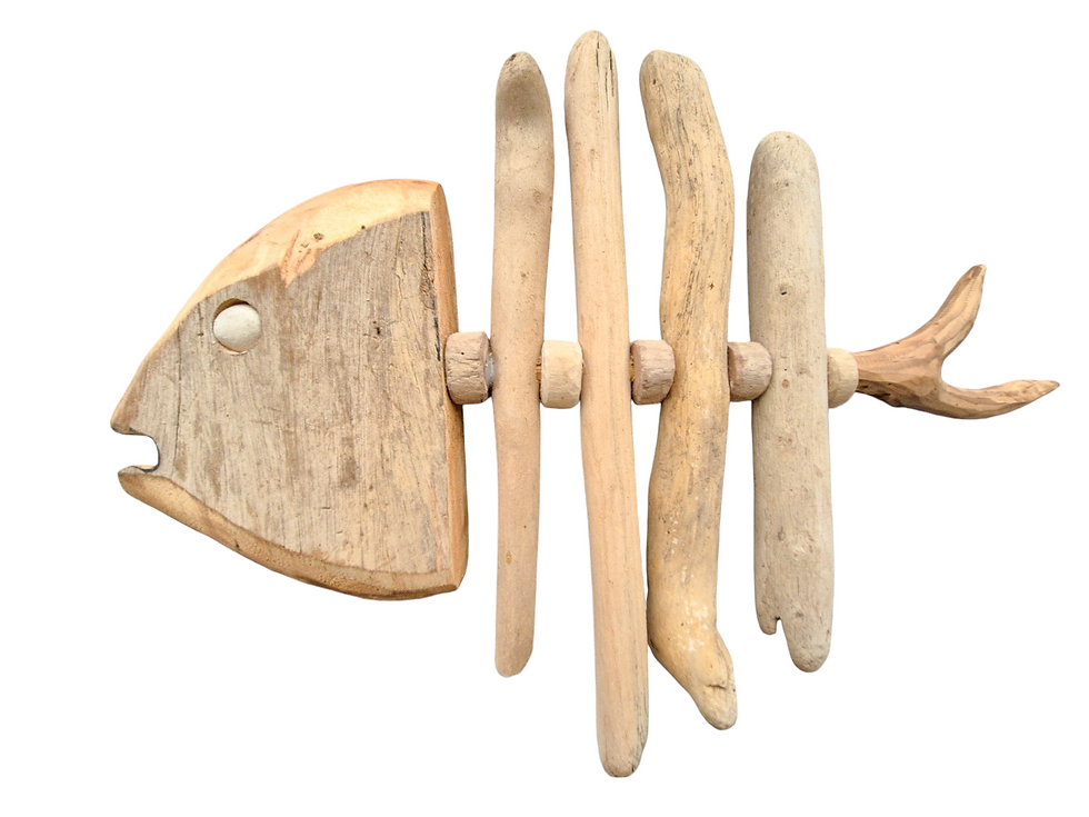 Large Driftwood Skeleton Fish Wall Hanging