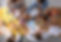 AdobeStock_322711637.jpeg
