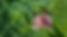 AdobeStock_213991712.jpeg