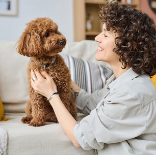 Finding the Perfect Pet Sitter for Your Furry (or Feathered!) Family