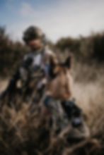 Thumbnail: CERBERUS PATCH