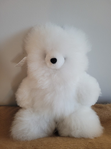 【Teddy1227】 Teddy Bear Icon Coat, camel | Max Mara