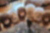 Thumbnail: alpaca fiber lion plushy