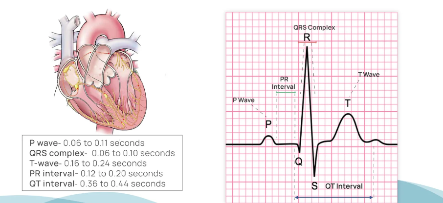 Screenshot 2024-11-09 142150.png