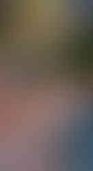 Summer Luxury Wedding in Motor Valley