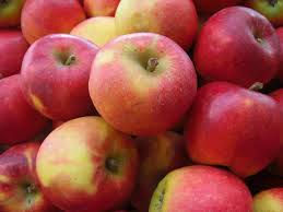 poma fuji (Pla d'Urgell)