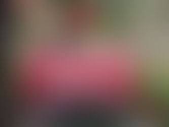 December Newsletter 2020