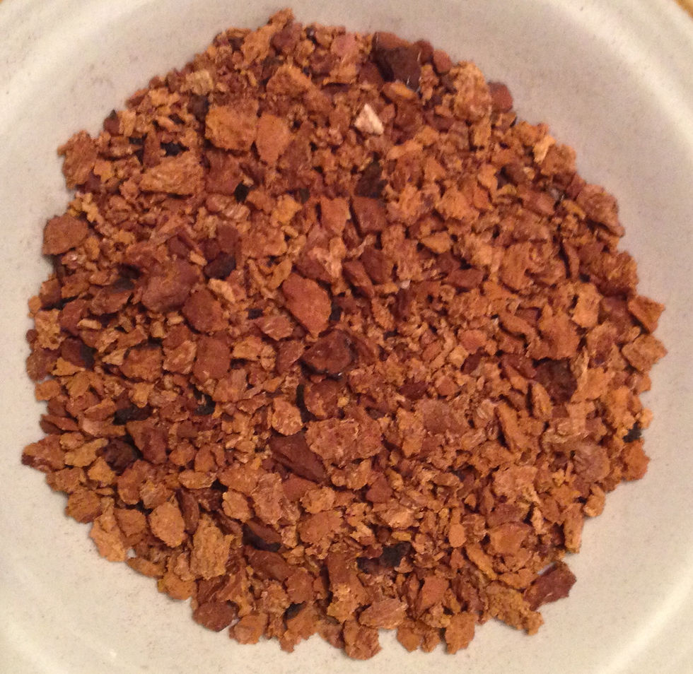 Chipped Chaga