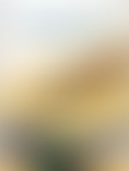 Books by Philippa Davies