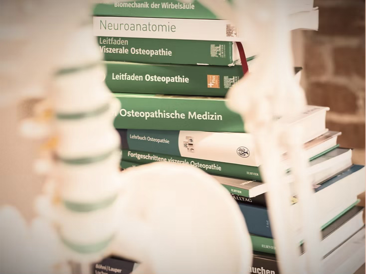 Osteopathie integrativ gedacht | h3 head, heart, hands. Hamburg