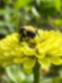 IMG_6069 2.jpeg