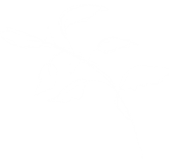 plant leaning left in the wind.png