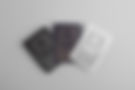 Privilege Card Game Mockup.jpg