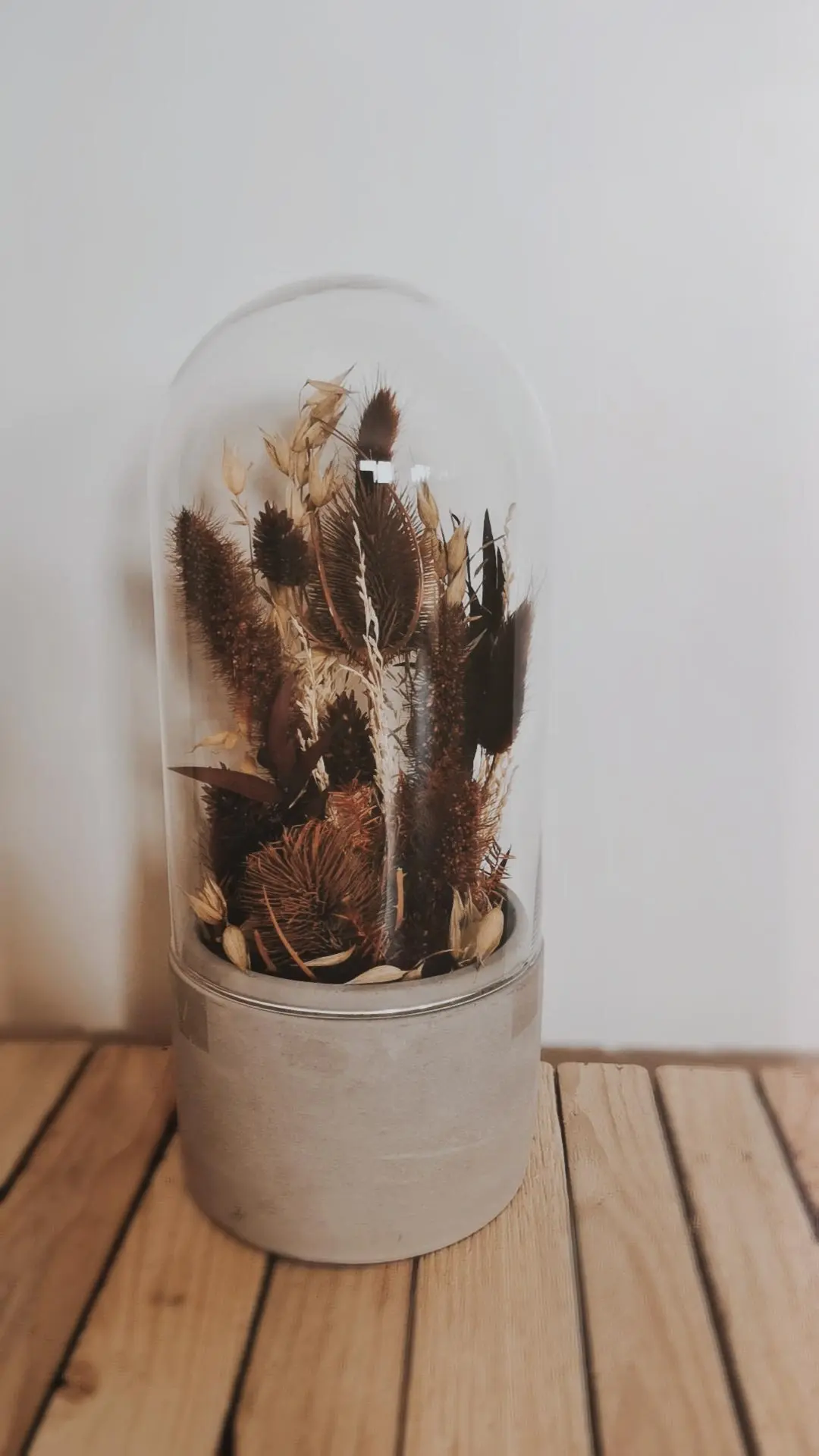 Cloche Châtaigne  L