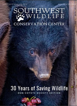 mag cover.jpg