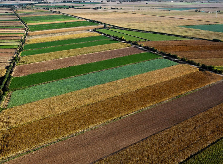 Agricultura