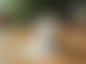New Ways Noopept Has Helped Individuals from 2020 to 2026