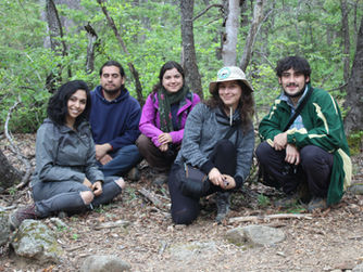 Recolectando Llao llao (Cyttaria hariotii) en la Reserva Nacional Altos de Lircay
