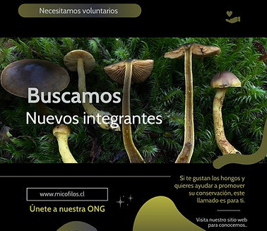 Búsqueda de nuevos integrantes.jpg
