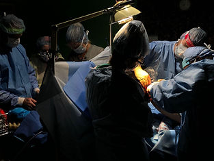 KoduPic3 Surgery.jpeg
