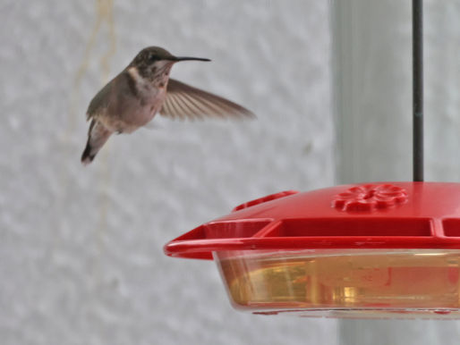 Frozen in your Progress?