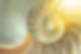 2024-04-19_13-55-19_edited.png