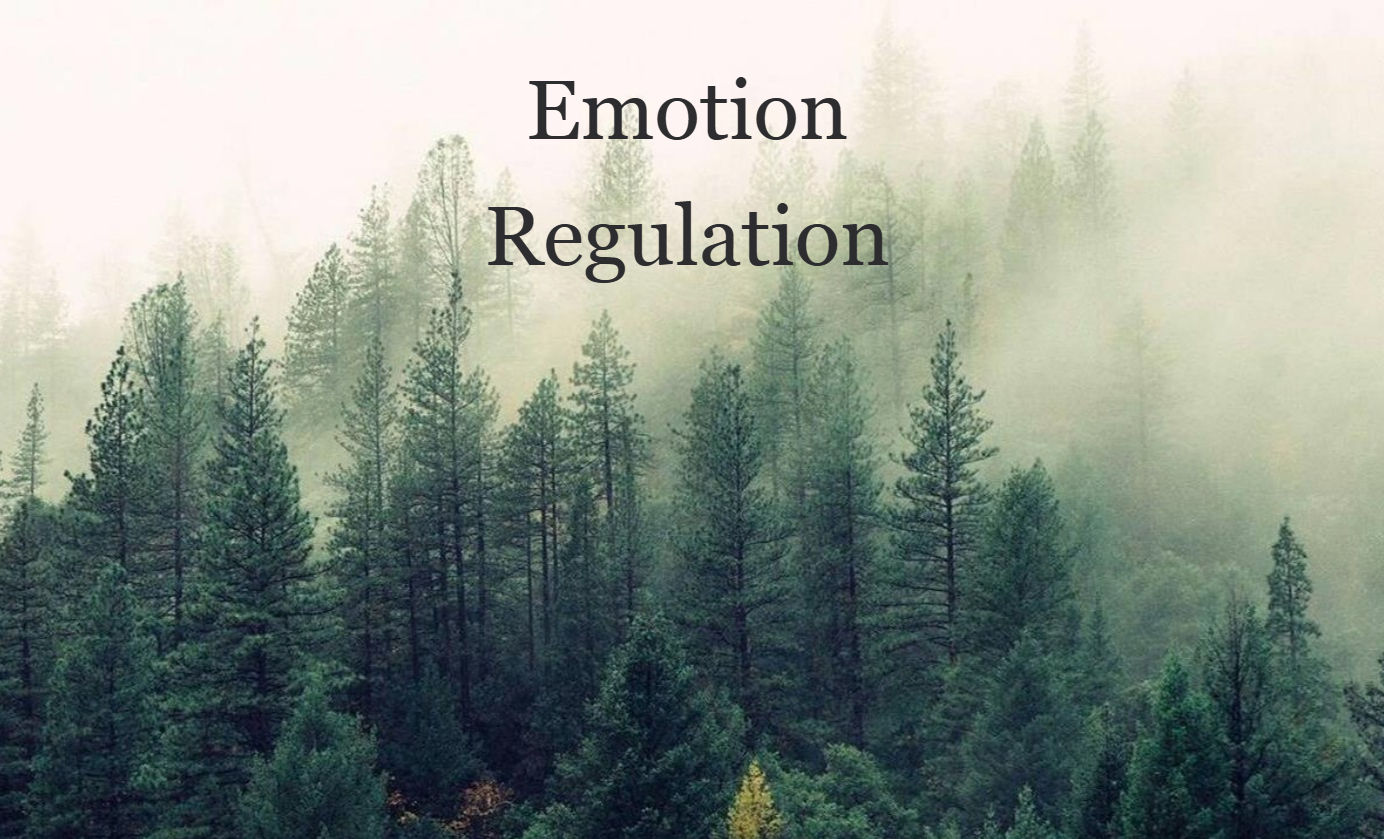 Book titled "A Concise Guide to Emotion Regulation"