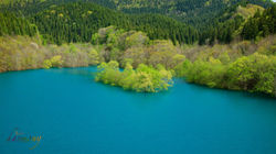 紫波町山王海ダム湖