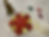 Red Patola Tea Light Center Mats (8 inch)