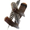 Custom Feathers logo