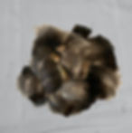 Product: Wild Turkey T-Base Feathers - 1 oz.