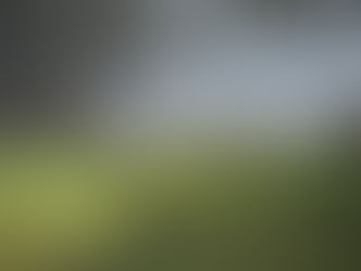 Sabiduría Diaria 06.03.2017