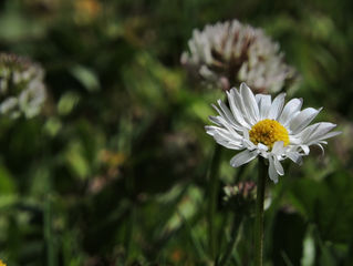 Sabiduría Diaria 14.08.2018
