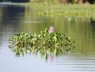 Sabiduría Diaria 04.10.2018