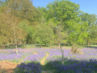 Sabiduría Diaria 13.05.2018