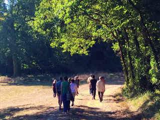 Sabiduría Diaria 05.10.2018