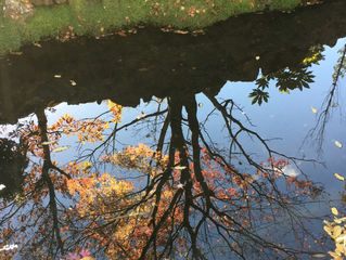 Sabiduría Diaria 15.08.2018