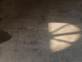 Sabiduría Diaria 31.08.2017