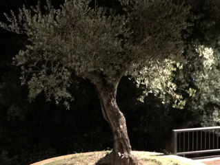 Sabiduría Diaria 5.10.2017