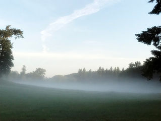 Sabiduría Diaria 06.06.2018