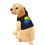 Thumbnail: Maine Adventure Pet Hoodie - Black