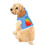 Thumbnail: New Hampshire Rainbow Pet Hoodie - Blue