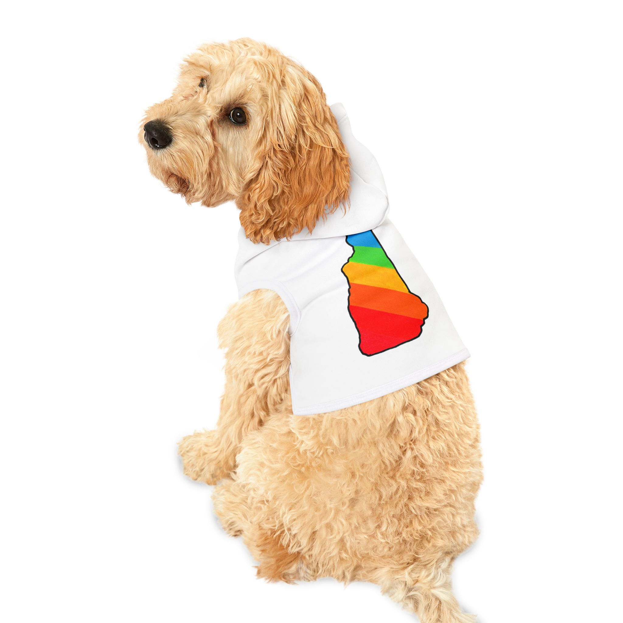 New Hampshire Rainbow Pet Hoodie - White