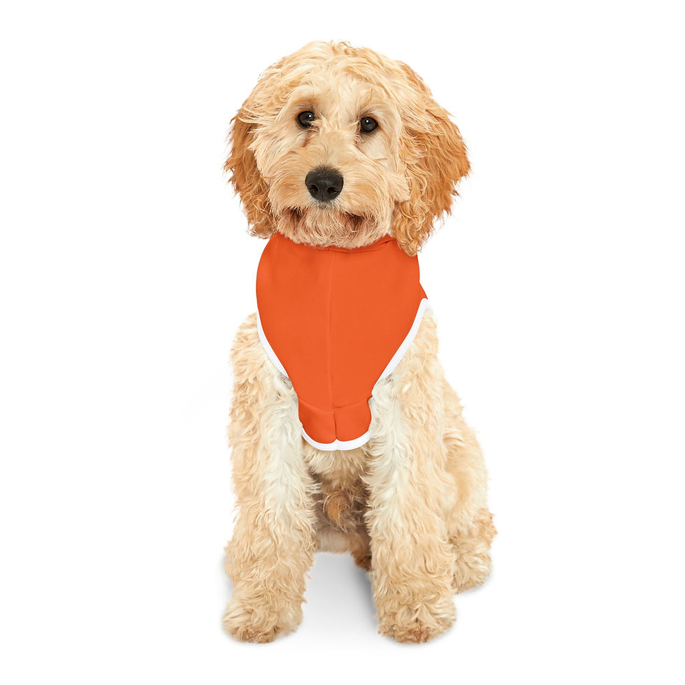 Thumbnail: Maine Adventure Pet Hoodie - Orange